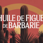 Huile de figue de barbarie en fiole dorée avec cactus et peau lumineuse