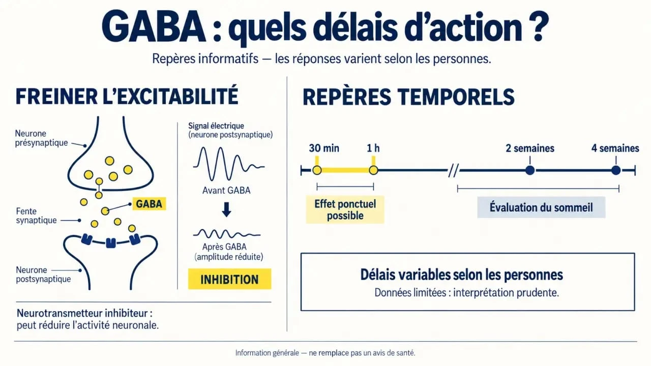 Infographie sur le gaba effet au bout de combien de temps, entre 30 minutes et 1 heure pour la détente et 2 à 4 semaines pour le sommeil